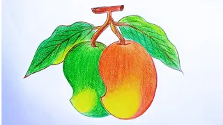 জোড়া আম আঁকা | Mango drawing | Easy drawing| আম আঁকার সহজ উপায় | আম আঁকার সহজ নিয়ম| আম আকা | আম আঁকা