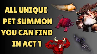 ALL UNIQUE PET SUMMON YOU CAN FIND IN ACT 1 BALDUR'S GATE 3