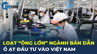 Hàng loạt "ÔNG LỚN" ngành bán dẫn ồ ạt ĐẦU TƯ vào Việt Nam | CafeLand