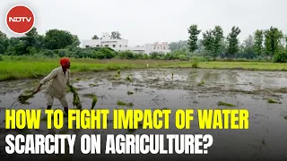 Impact On Agriculture Of Climate Change And Water Stress