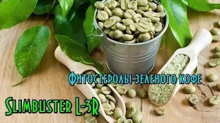 Slimbuster L-3R – фитостеролы зеленого кофе // Зеленый кофе для похудения