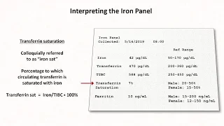 Anemia: Lesson 2 - Interpreting the Iron Panel