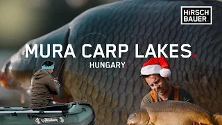 Karpfenangeln in Ungarn! Mura Carp Lakes Episches Abenteuer mit Thomas Hirschbauer! 4K