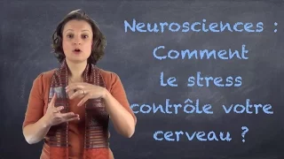 Comment votre cerveau "bascule" sous l'effet du stress ? VIDEO-BLOG#17