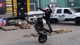 Limbächer & Limbächer-Saisonstart-Stuntshow mit Micha Threin Ducati 2015  GK