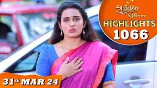 Anbe Vaa Serial | EP 1066 Highlights | 31st Mar 24 | Virat | Shree Gopika | Saregama TV Shows Tamil