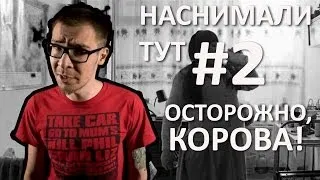 Наснимали тут! Осторожно, корова! (Баян Есентаева)