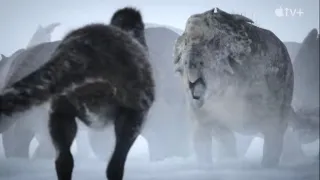 “This old bull is still a formidable force” | Prehistoric Planet | Ice Worlds | Apple TV+