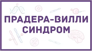 Синдром Прадера-Вилли - механизм развития, причины, клинические проявления