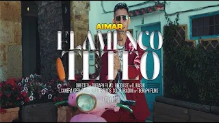 Aimar Habibi ❌ @DJRASUK - Flamenco Teteo (Official Video) 4k