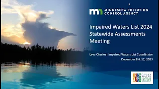 Impaired Waters List 2024 Public Meeting, Statewide Assessments