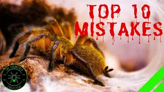 TOP 10 Mistakes Keeping Tarantulas & Spiders - DON'T DO THIS!