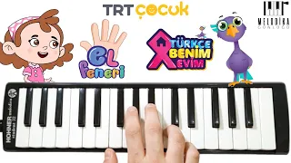 EL FENERİ 🖐🏿 TÜRKÇE BENİM EVİM🏠 || Melodika Notaları