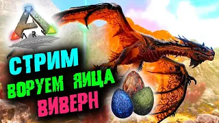 Стрим: Ark Survival Evolved ☛ Воруем яйца виверн ✌