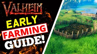 Valheim Early Farming Guide - CARROT FARM!