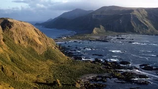 Macquarie Island 1958 Long Version