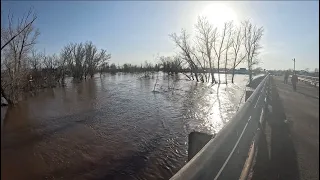 Масштабы паводка в Нижней Павловке Оренбургский район