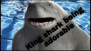 King Shark being adorable part 2