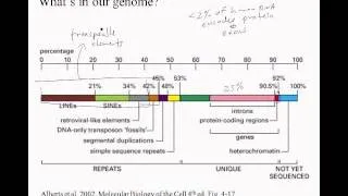 4-7-Genomes.wmv