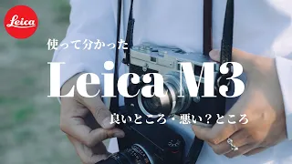 【LeicaM3】フィルム15本分撮ったところでフィルムカメラの良いところと懸念点を自分なりにお伝えします