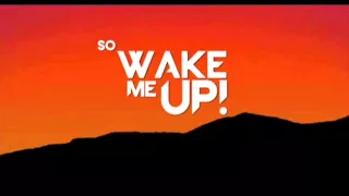 Avicci feat. Aloe Blacc - Wake Me Up (PauloToscan Remix)
