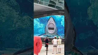 Giant Shark Attacks Aquarium Glass Nassau Bahamas