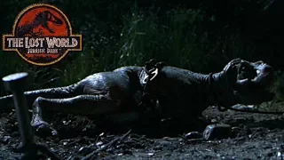 The Truth About How the Baby T-Rex Broke it's Leg - Mommy's Very Angry - Infant Tyrannosaurus