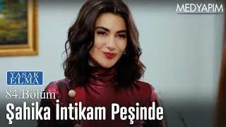 Şahika intikam peşinde - Yasak Elma 84. Bölüm