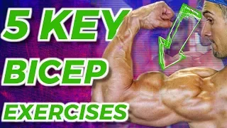 The BEST BICEP WORKOUT! (Sets, Reps, Rest Included)