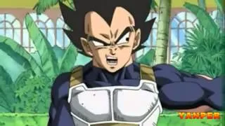 dragon ball z el hermano de vegeta (ESPAÑOL LATINO)