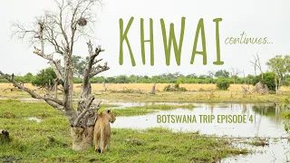 BOTSWANA TRIP Episode 4 | The best lion sighting I've ever had in Khwai!