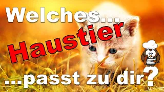 ✔ Welches Haustier Passt Zu Dir? - Persönlichkeitstest