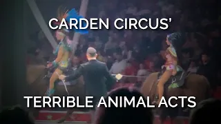 Cringe and Cruel: Carden Circus’ Terrible Animal Acts