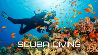 SCUBA DIVING IN INDIA 2020 - GOA EP-2 - JUST RS.3000 -MUST TRY