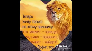 Основа мудрости - спокойствие и терпение!