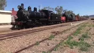 Pichi Richi Railway - October Double Header