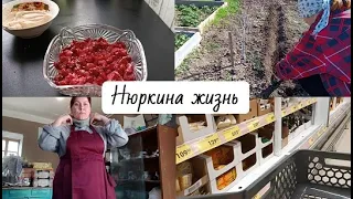 Простая жизнь в станице // Творожный сыр из ряженки // Бисквит // Окрошка // Нюркина жизнь влог