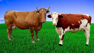 Звуки Коровы 30 минут-Мычание коровы на пастбище-Стадо коров на лугу-Farm animals