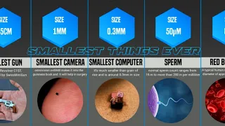 Comparison: Smallest Things Ever