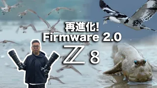 Crazy Nikon Z8 evolves again!!! Major update firmware 2.0 | Bird Photography | Ecology