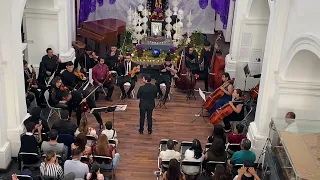 “Spring” Concierto para Violín en E mayor - A. Vivaldi