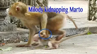 Horrible Mistreat Baby Marto By So Mean Kidnapper Milody Nearly Fall Down On The Tree