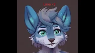 Friendly 1v1s with Luna (Benimaru's/Nekoice's) Fursona