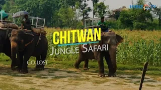 Chitwan Jungle Safari Nepal | Wildlife | Chitwan National Park Nepal