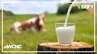 Do the risks of raw milk outweigh the benefits? | VERIFY