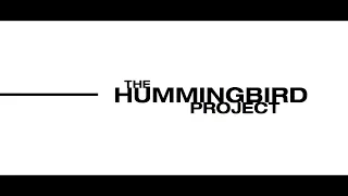 The Hummingbird Project (2018) (French-Dutch Subbed) Streaming XviD AC3