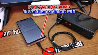 cara pasang dongle hp di Stb Evercoss Prime + Internet Tanpa Dongle Wifi di set top box dvbt2