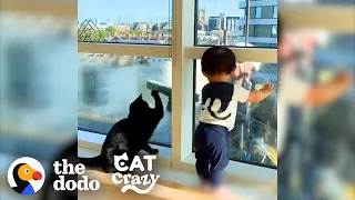 Cat Teaches His Little Brothers To Be Obsessed With The Window Washers | The Dodo Cat Crazy