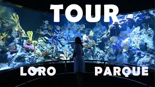Loro Parque Tour |  Loro Park travel vlog with a baby|  Animals, parrots, jellyfish and all shows|