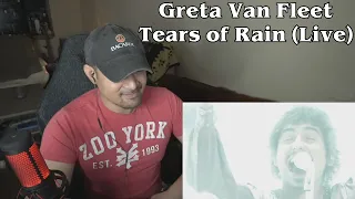 Greta Van Fleet - Tears of Rain (Live) (Reaction/Request - Perfect!)